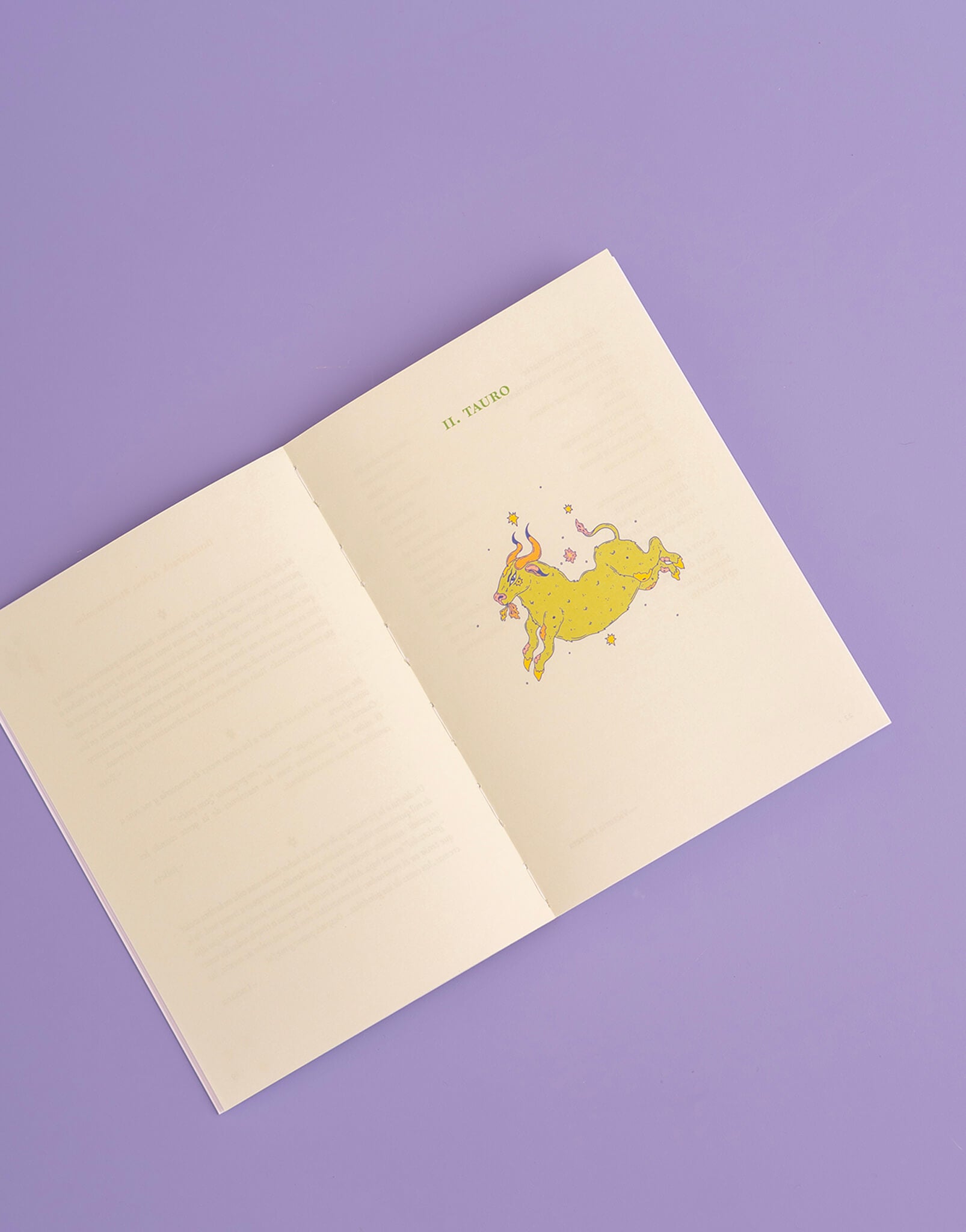 LIBRO ESCRIBIR EL CIELO