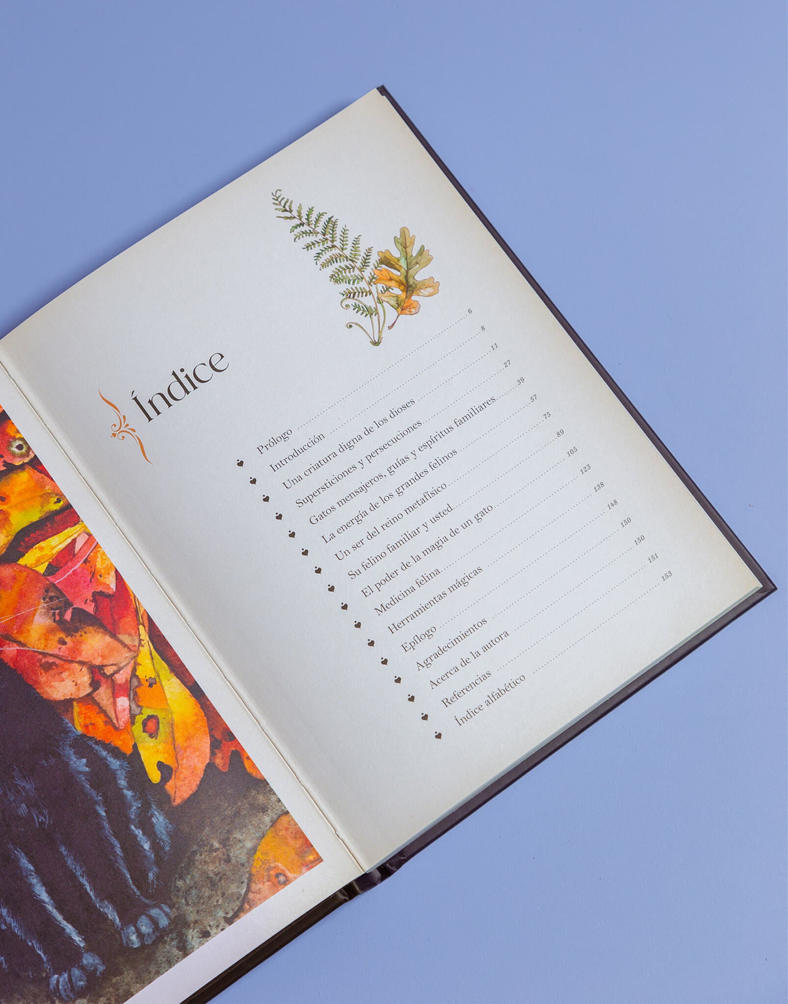 LIBRO LA MAGIA DE LOS GATOS