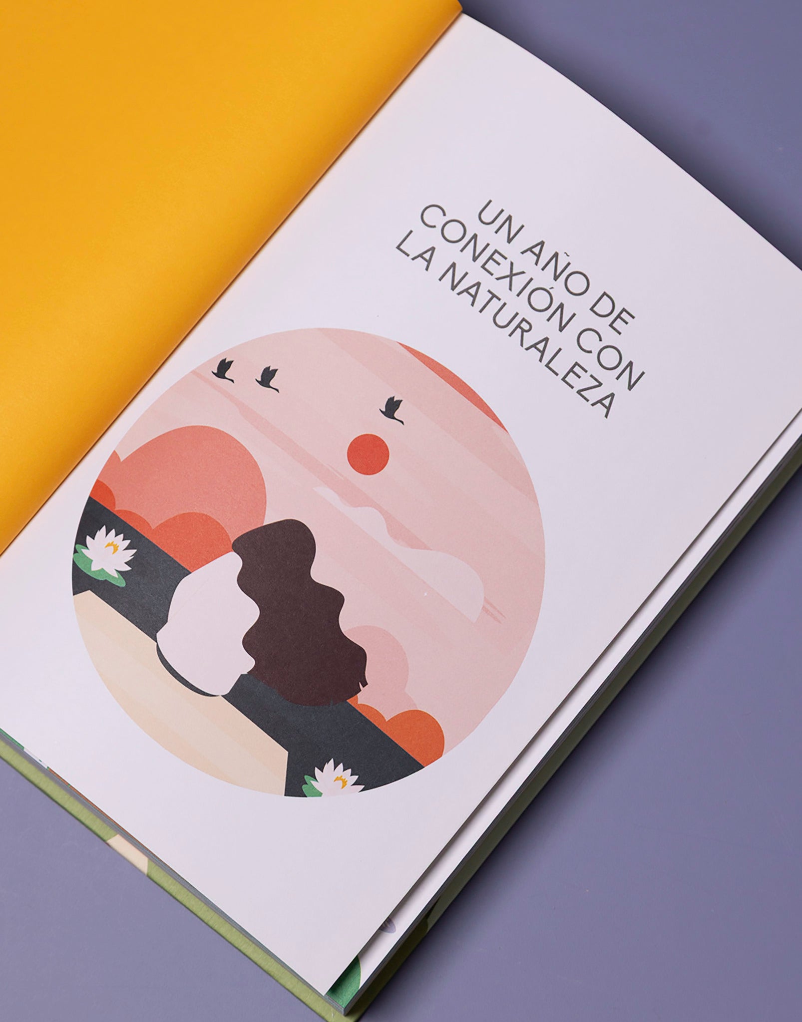 LIBRO UN AÑO DE CONEXIÓN CON LA NATURALEZA