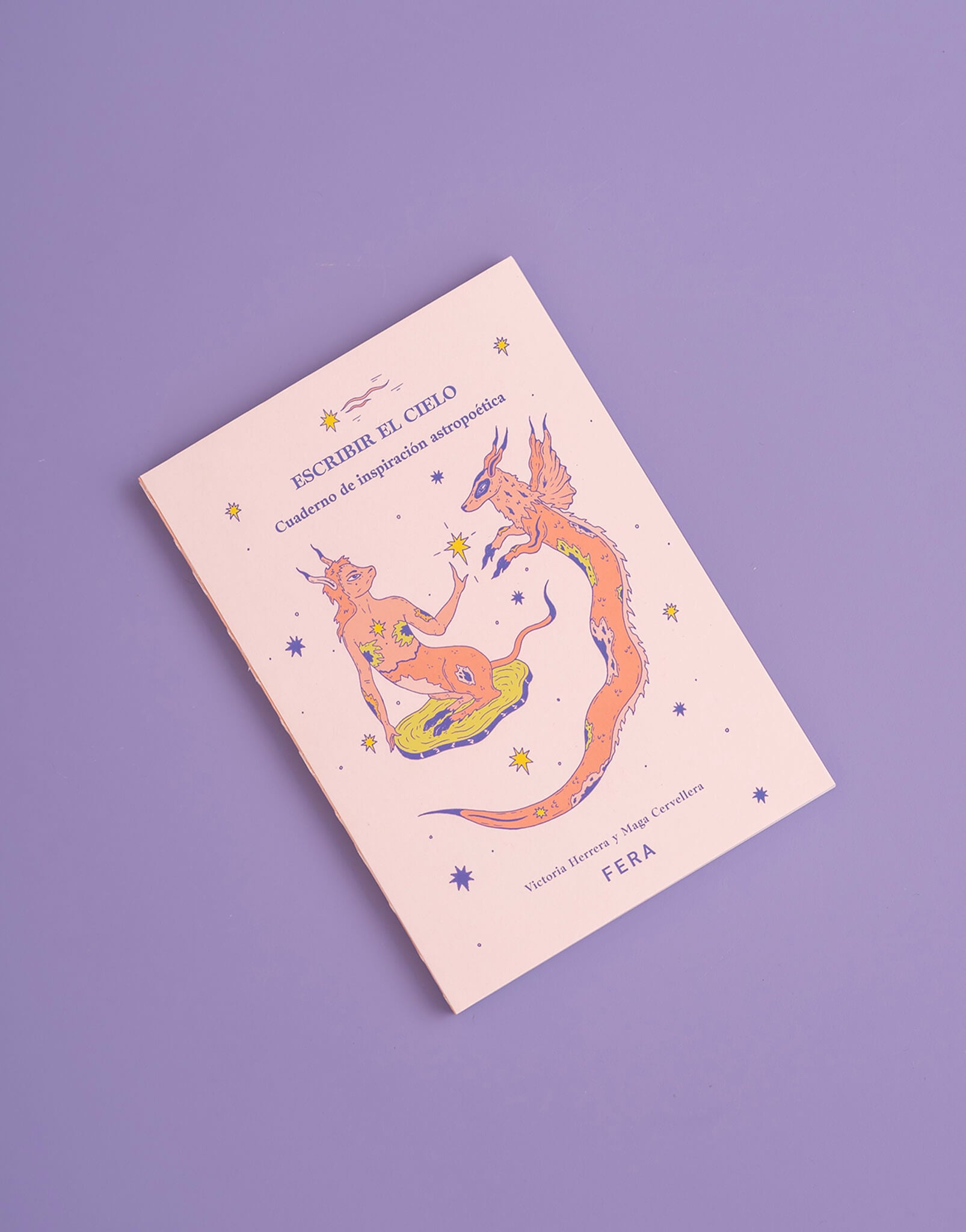 LIBRO ESCRIBIR EL CIELO