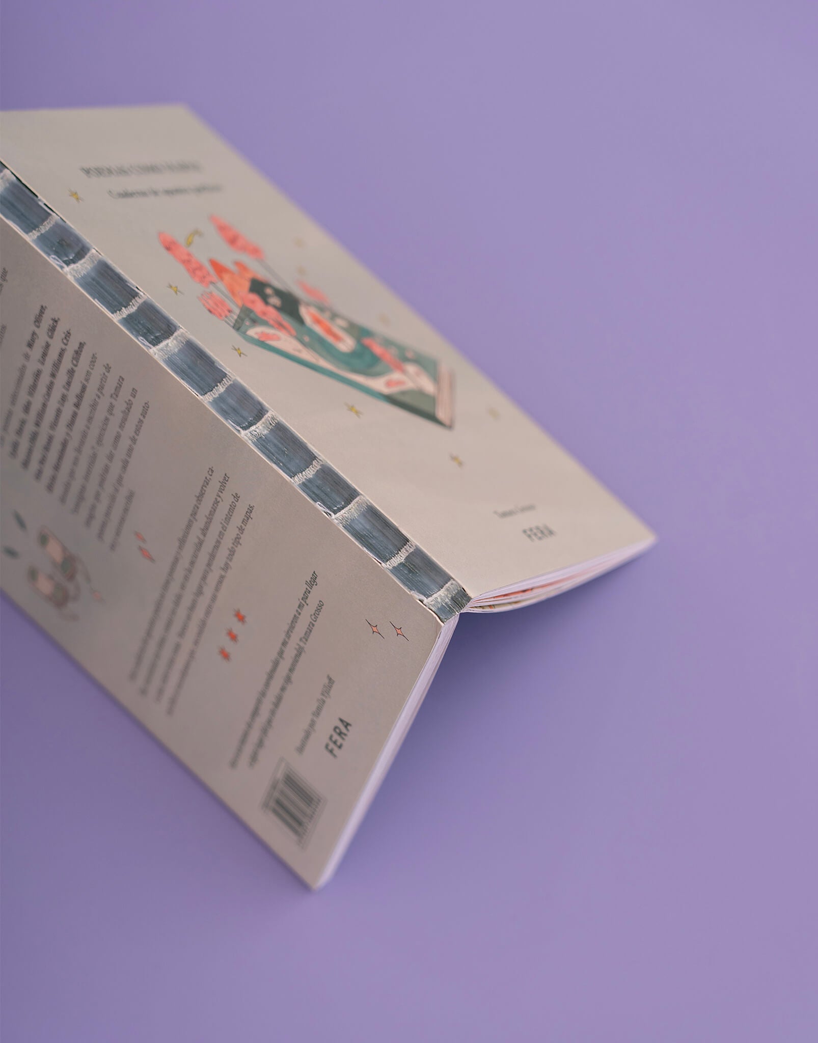 LIBRO POEMAS COMO MAPAS