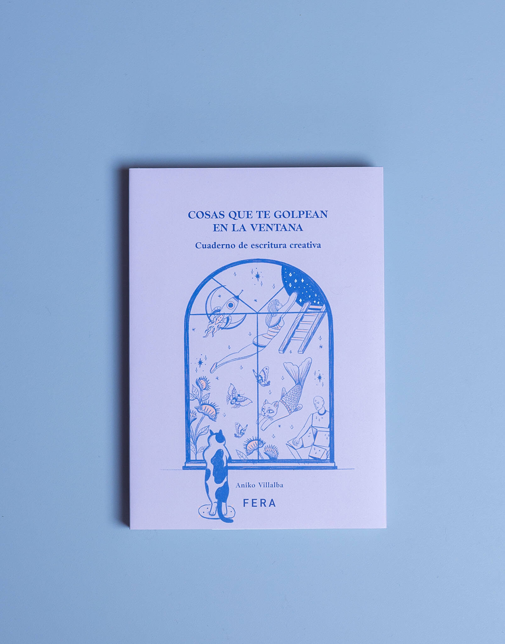 LIBRO COSAS QUE TE GOLPEAN EN LA VENTANA