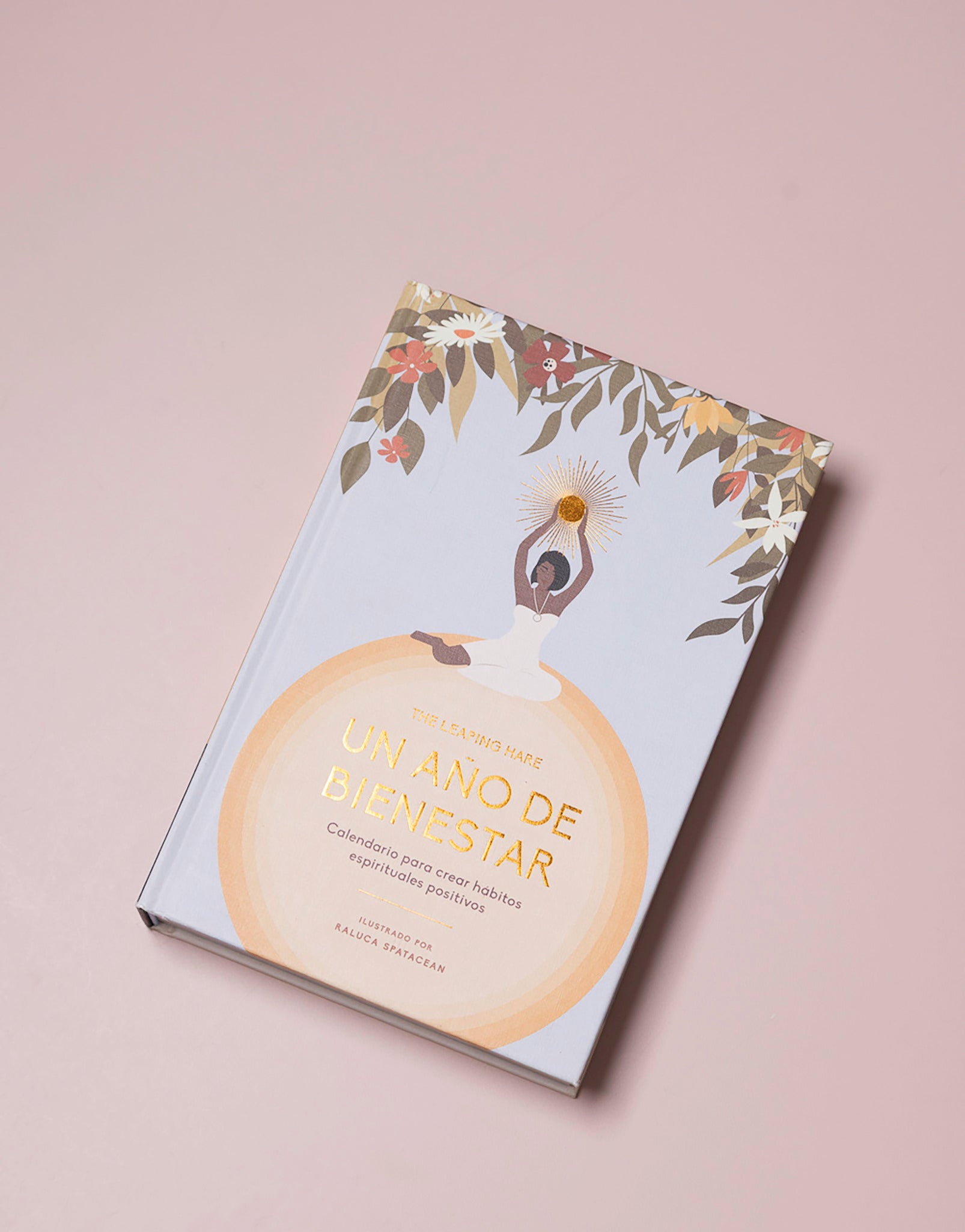 LIBRO UN AÑO DE BIENESTAR