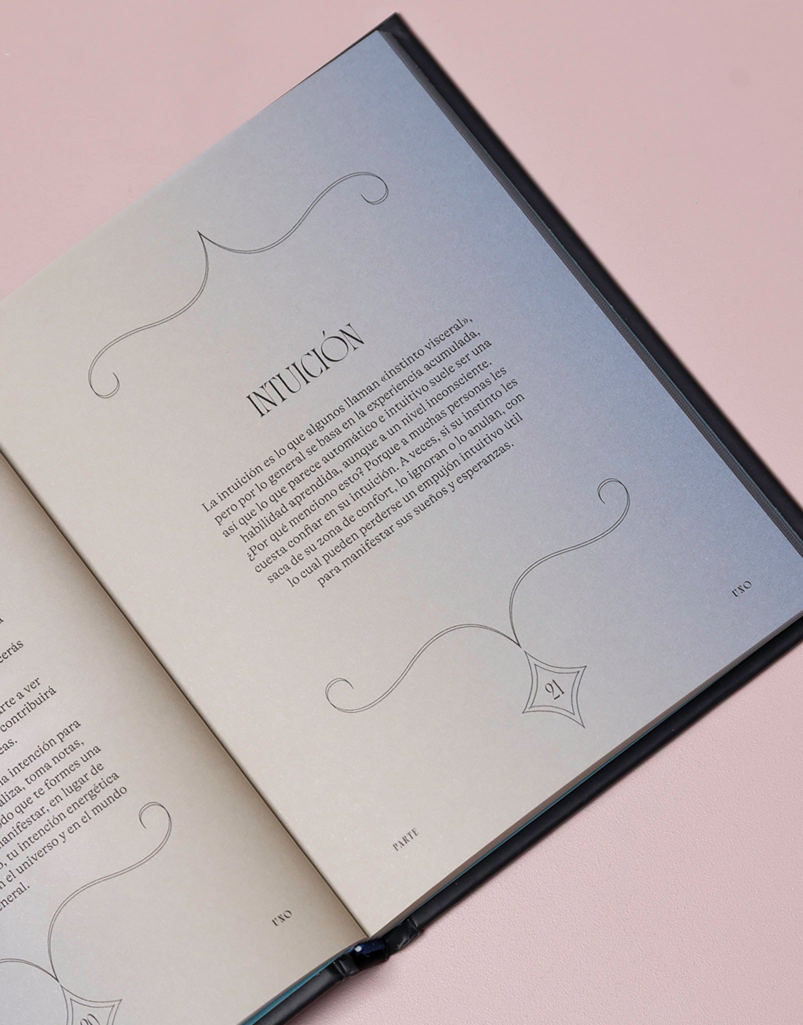 LIBRO MANIFESTACIONES